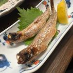 北海道本ししゃも