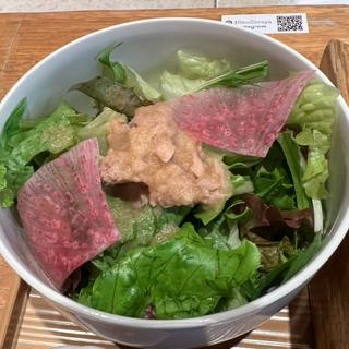 季節の野菜サラダ
