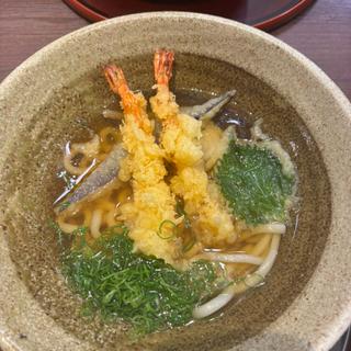 天ぷらうどん(杬之蔵 イオンモール京都桂川店 （モトノクラ）)