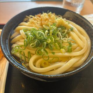冷かけうどん