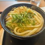 冷かけうどん(讃岐うどん 條辺)
