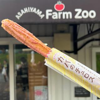 カバのチュロス(あさひやまファームZOO)