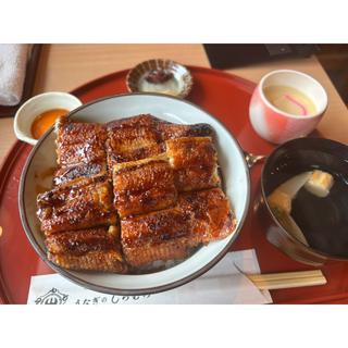 活うなぎ丼　上(うなぎのしろむら 知立店)