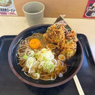かき揚げ天玉そば(YASMOCCA 野呂PA (下り))