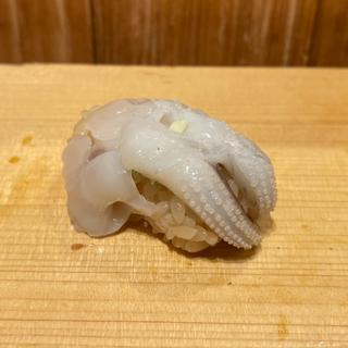 いかげそ