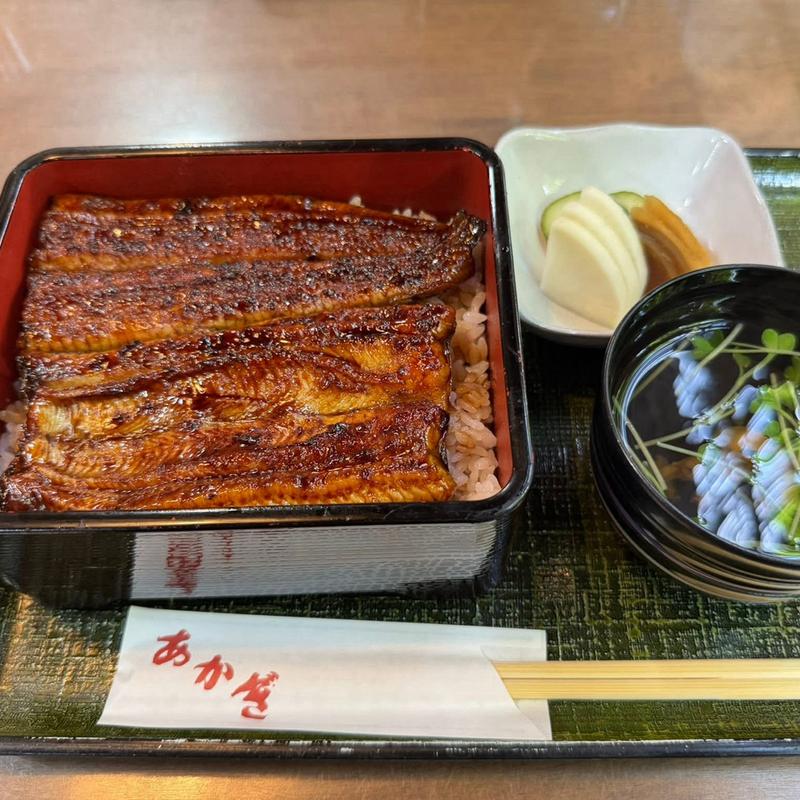 鰻重(鰻 あかぎ)