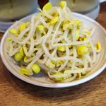 豆もやし(塩味)