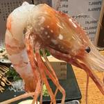 牡丹海老刺身(居酒屋 天金 （てんきん）)