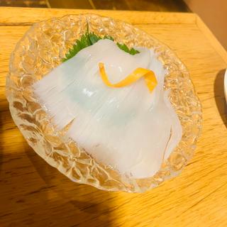 松前朝いか刺身