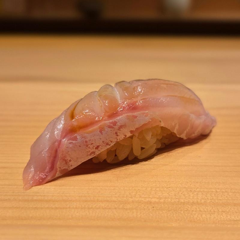 アラ(スズキ)(佐たけ)