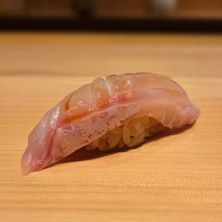 アラ(スズキ)(佐たけ)
