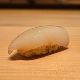 スミイカの新子(佐たけ)