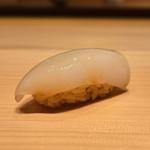 スミイカの新子