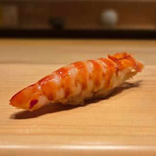 車海老(佐たけ)
