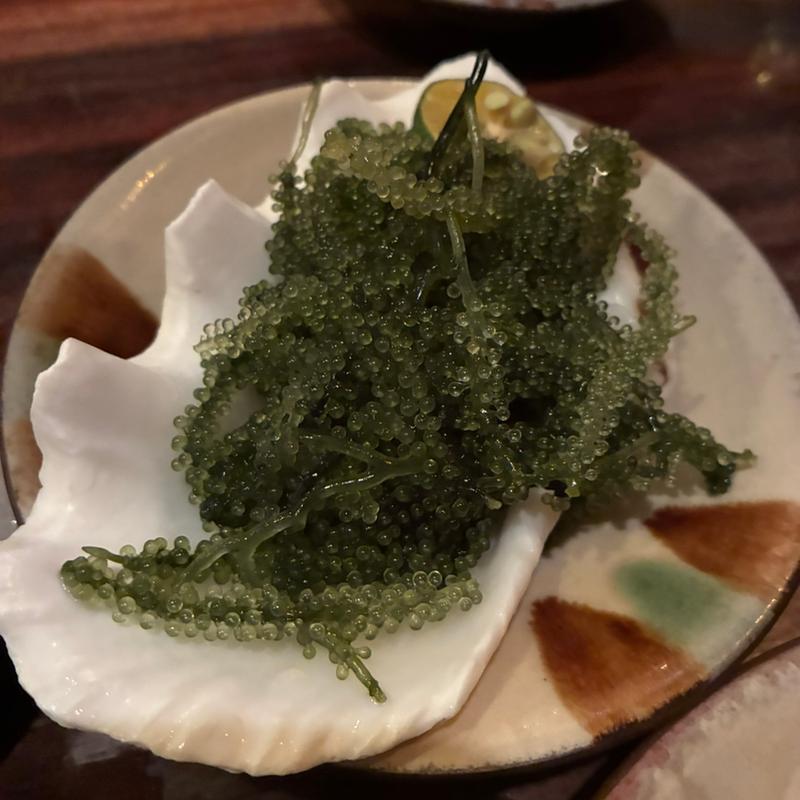 海ぶどう(うりずん )