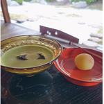 お抹茶と上生菓子