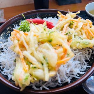 釜揚げちりめん丼＋かき揚げセット