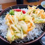 釜揚げちりめん丼＋かき揚げセット(安芸しらす食堂)