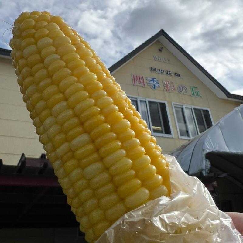 とうきび(四季彩の丘 売店 )