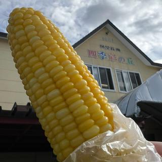 とうきび