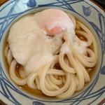 とろ玉うどん