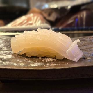 剣先いか