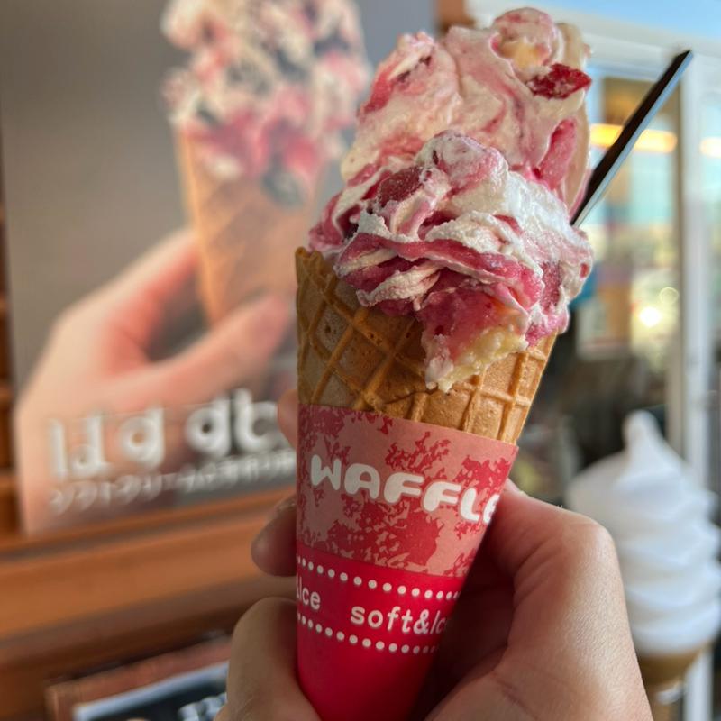 (フラノマルシェ1)