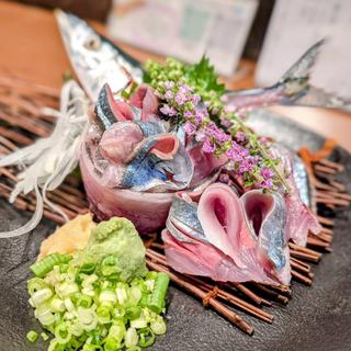 秋刀魚刺身(HANABUSA 四季折々)