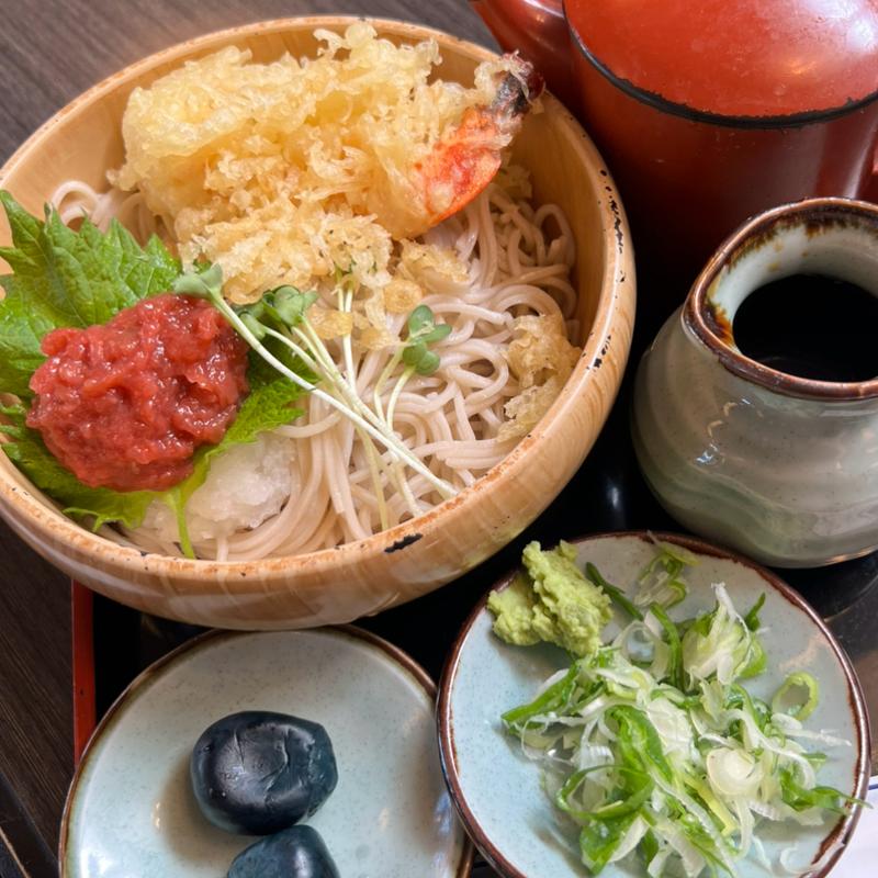 梅おろしそば（冷）(小玉家)