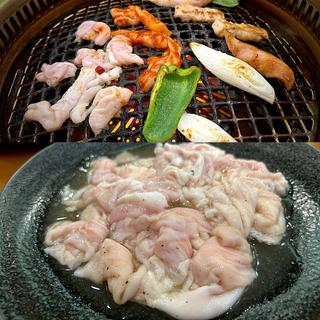 豚ホルモン(塩)