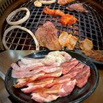 牛カルビ、豚カルビ、豚トロ、牛ホルモン、