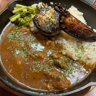 始まりの冒険カレー