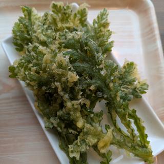 春菊天
