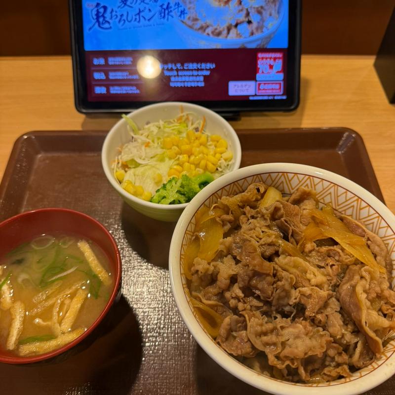 牛丼特盛　サラダセット(すき家 八潮西袋店)