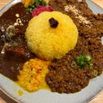 あいがけ3種(カレー サファリ)