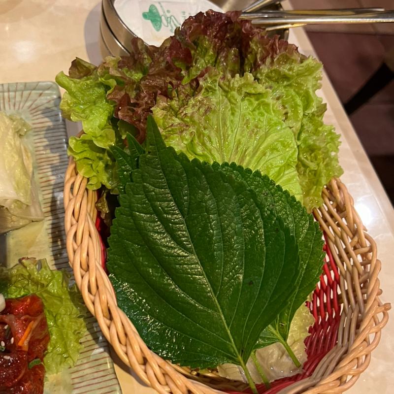 サンチュ　胡麻の葉(李さんの台所)