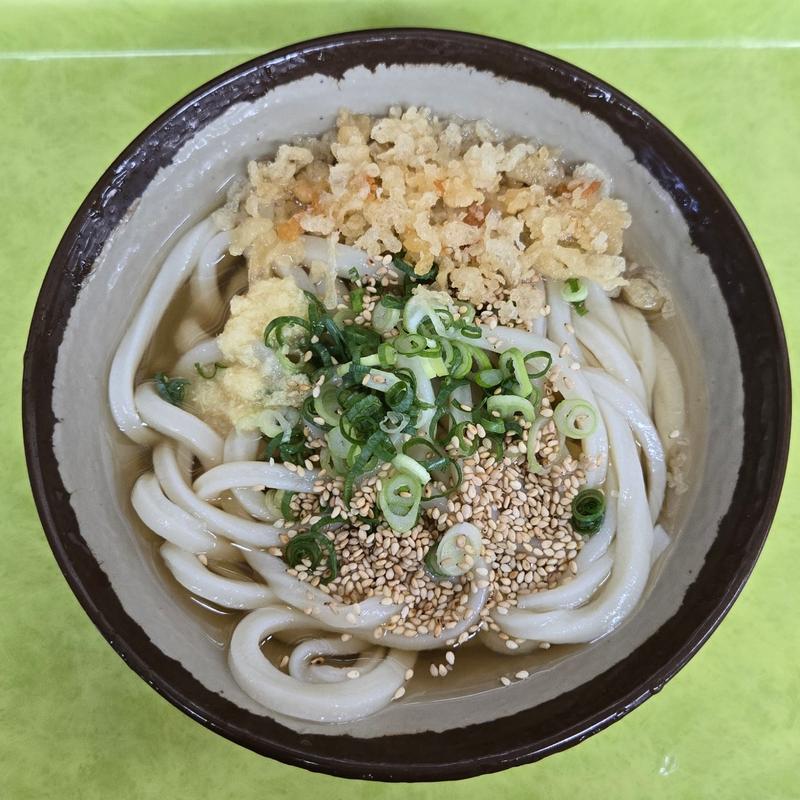 ひやかけうどん 小(さか枝 （さかえだ）)