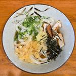 焼き揚げぶっかけ 小