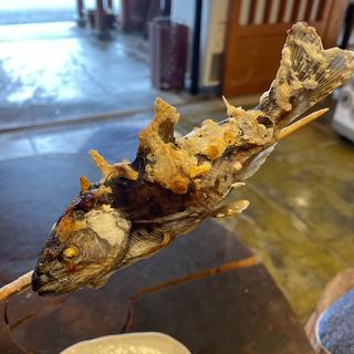 やまめ炭火焼(三峰お犬茶屋 山麓亭)