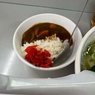 半カレー(ラーメンショップやっこ)