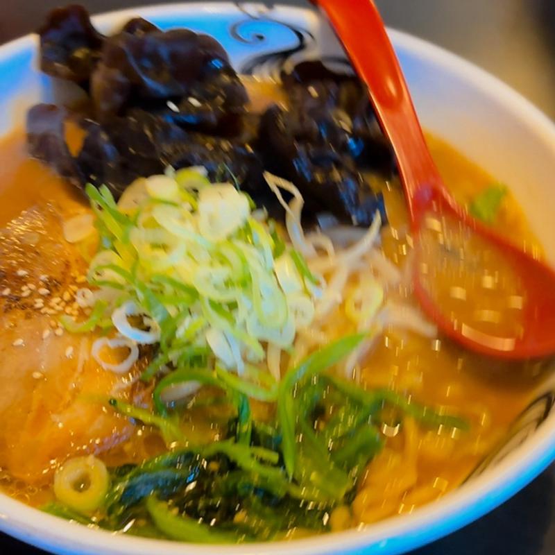 赤味噌ラーメン　きくらげ増し(らー麺 家康 北郷店)