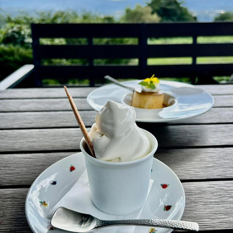 生チーズソフトクリーム(アトリエ・ド・フロマージュ 本店 （Atelier de Fromage）)