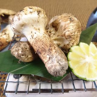 松茸の炭火焼き