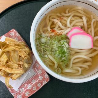 ごぼう天うどん(吉野ヶ里歴史公園レストラン)