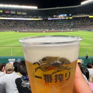 生ビール(阪神甲子園球場 )