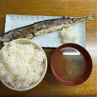 サンマ塩焼き定食(魚力)