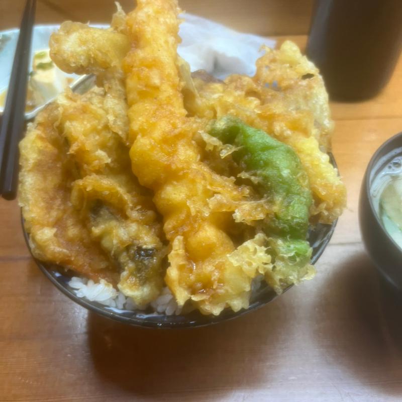 いろいろ天丼(深川 つり舟)