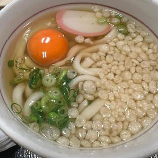 月見ハイカラうどん 小(なか卯 摩耶ランプ店 )