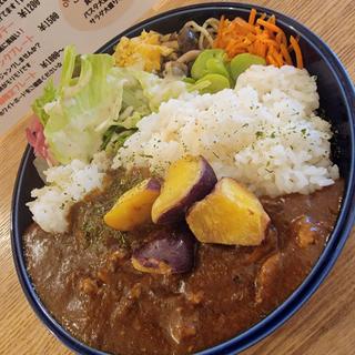 季節替わりの223カレー(新橋223)