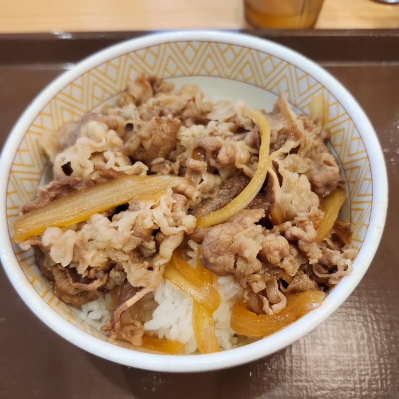 牛丼並盛(すき家 那覇久米店)